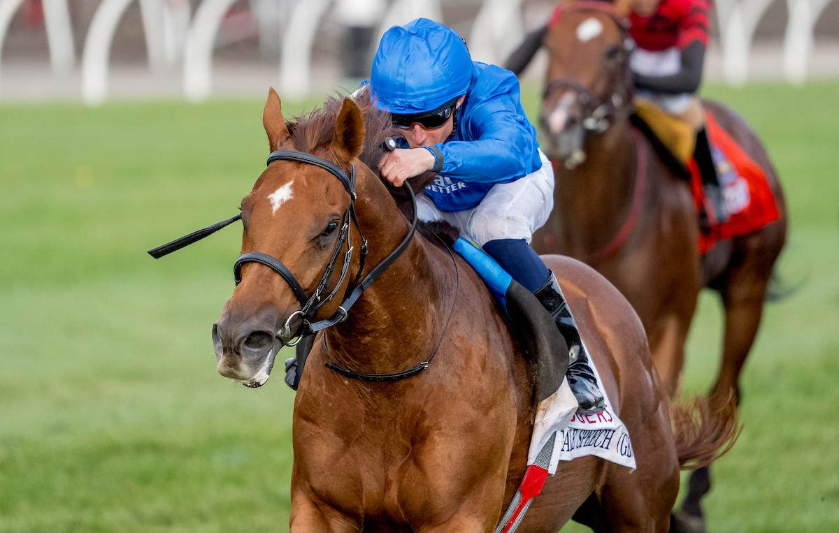 Notable Speech, Turf Champions Day, Woodbine Mile, Woodbine, horse racing, America's Best Racing, ABR